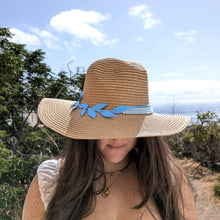🌿 Sombrero 